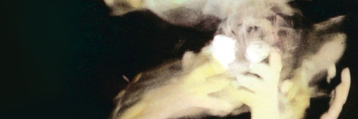 laia banner