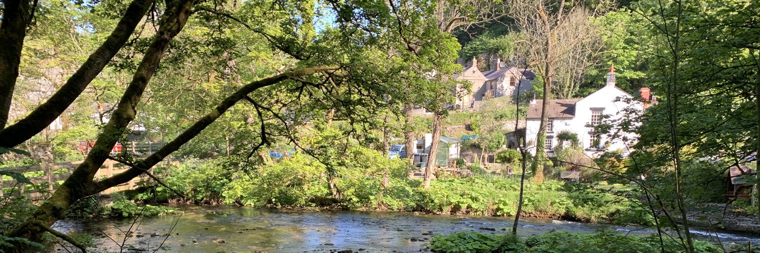 Stuart Anderson banner