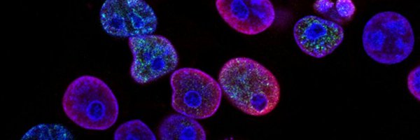 QBio_PSL Profile Banner