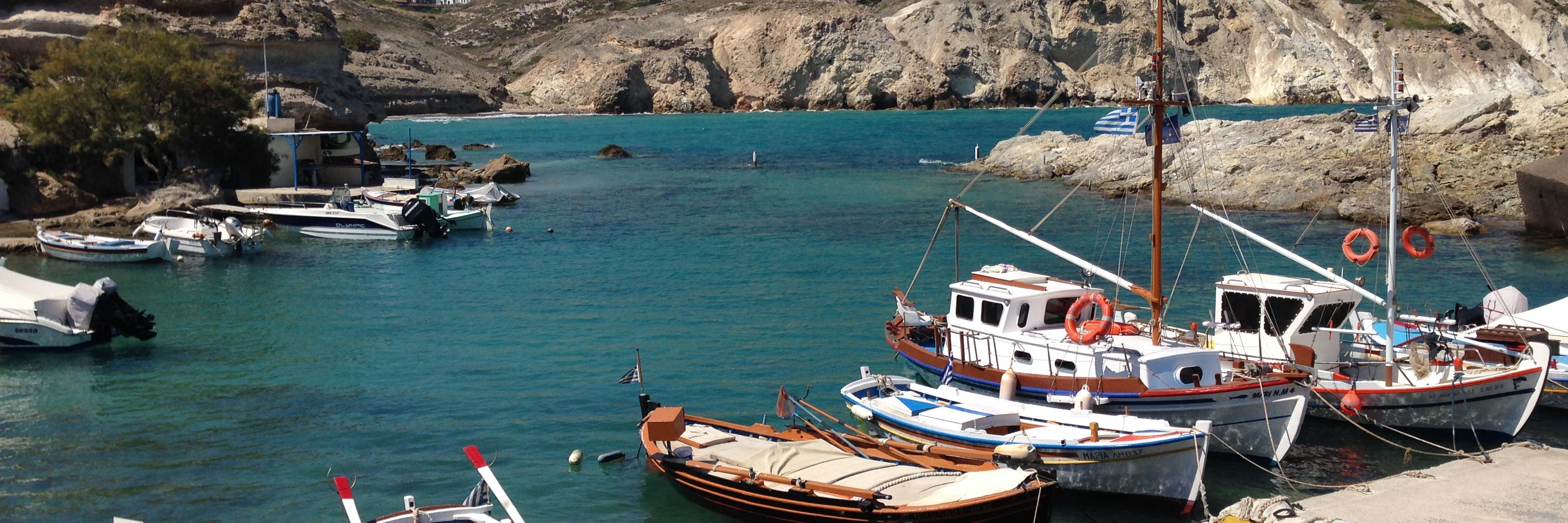 Julie P Alevizou banner