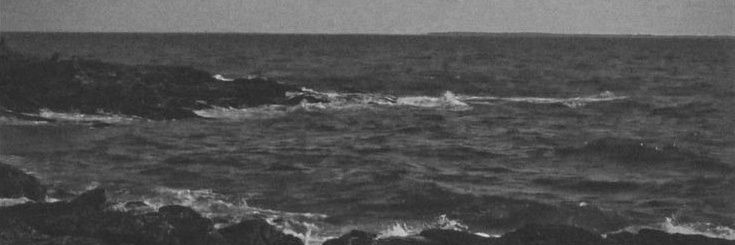 wonnuwo's profile banner image