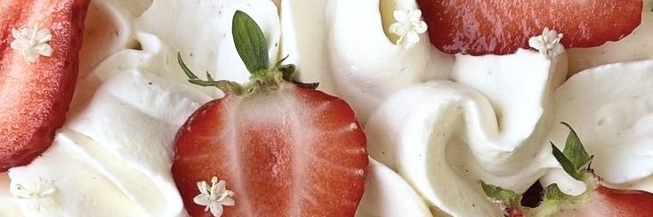 gray 🍓 banner