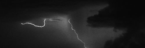 vitia_wp's profile banner image