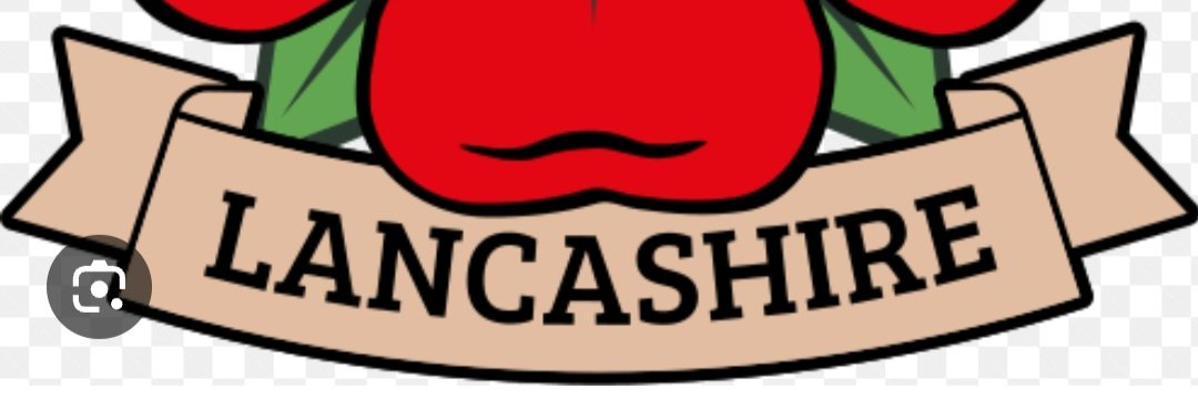 Lisa o connor's banner
