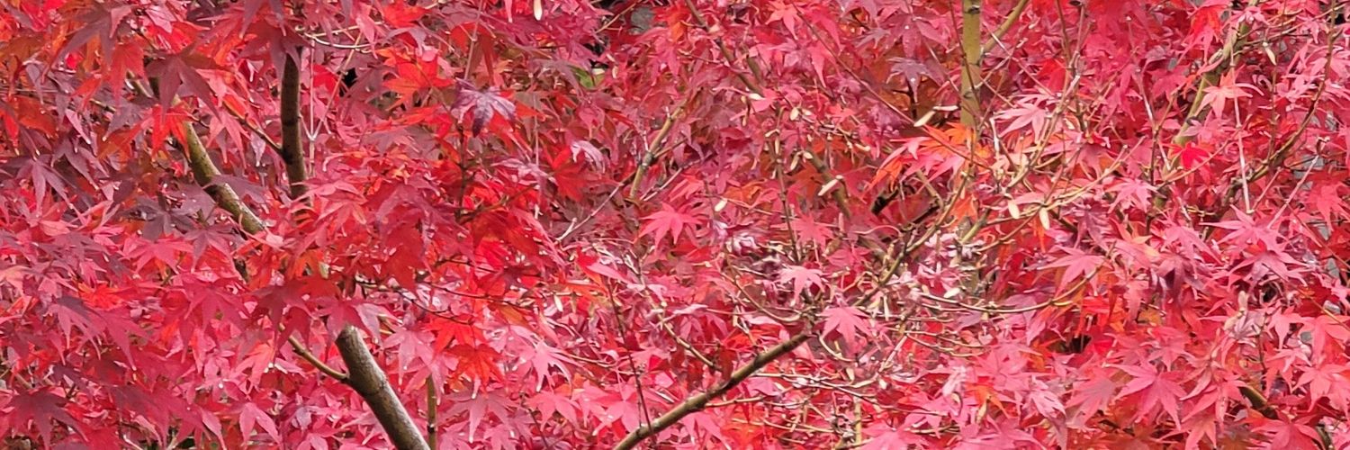 life0nEasy's profile banner image