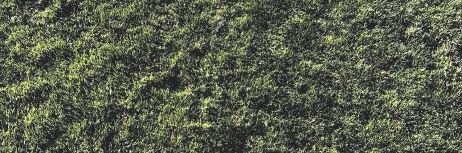 당신, 𝗞𝗮𝗹𝗲. banner