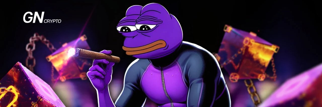 Tom Cryptozor banner