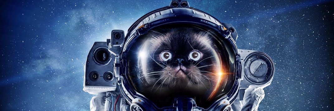 ImDhopte's profile banner image