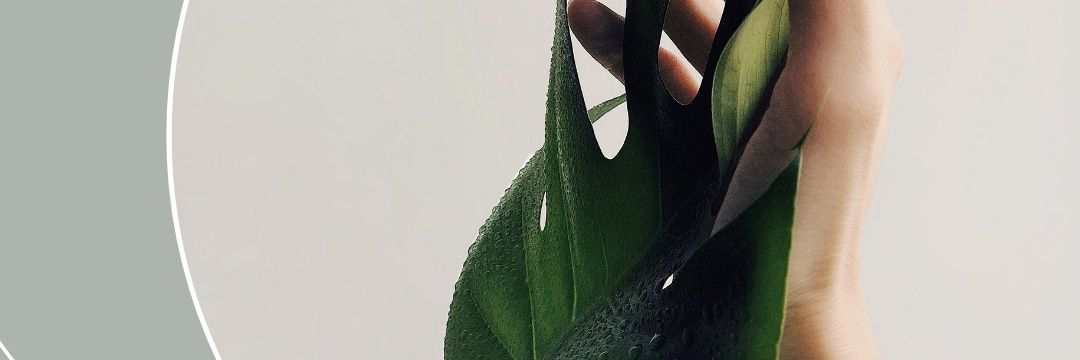 SuzOkon's profile banner image