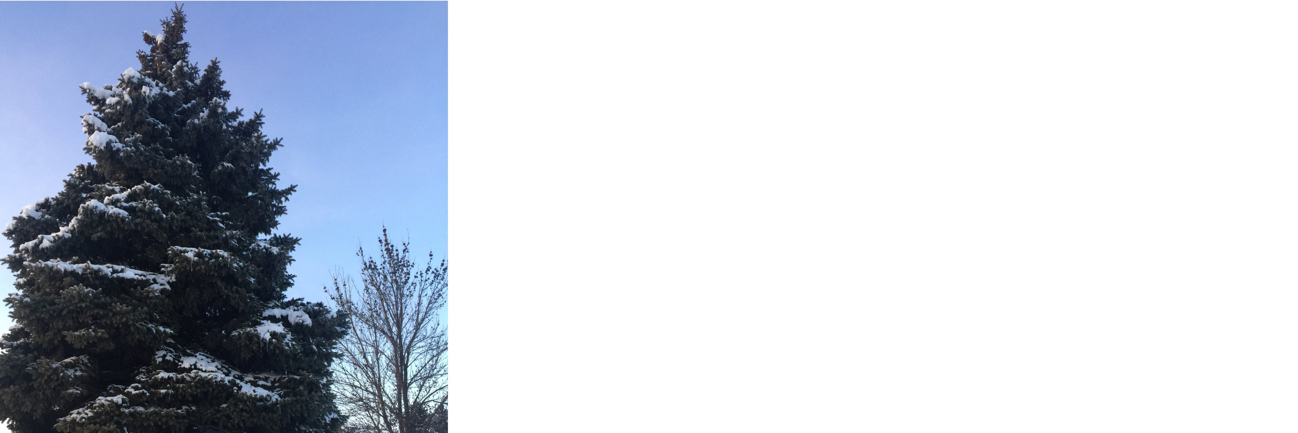 TapashGmai's profile banner image