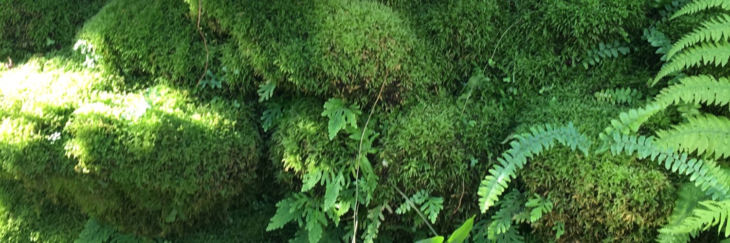 heidischroeder's profile banner image