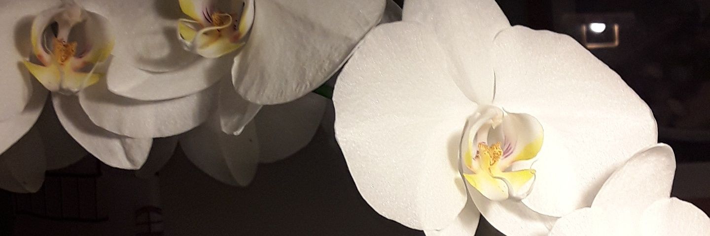 jermehag's profile banner image