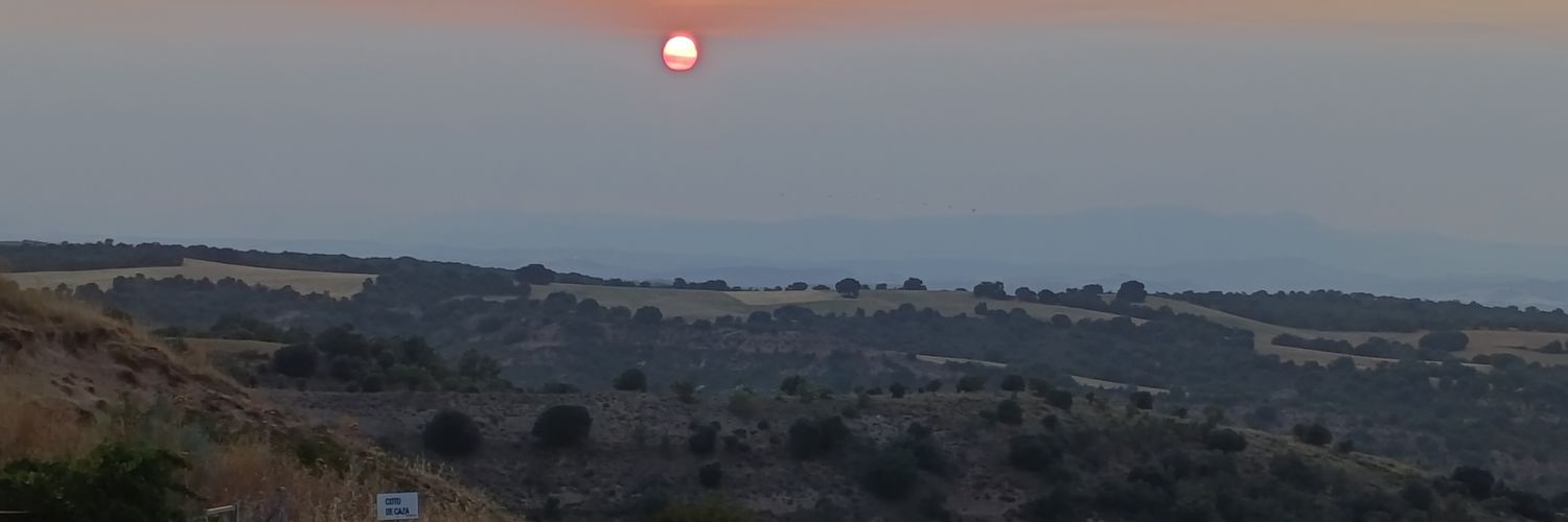 Alfredo Simón banner