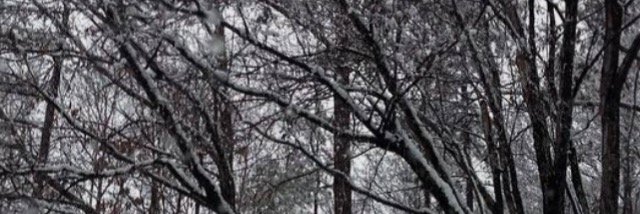 ajluck's profile banner image