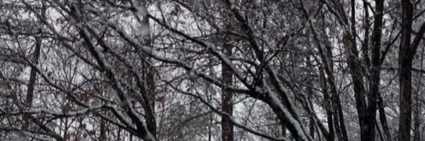 ajluck Profile Banner