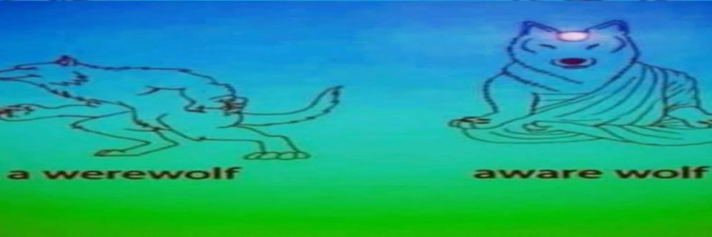 stinktthew's profile banner image