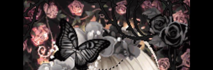 _anpontango_'s profile banner image