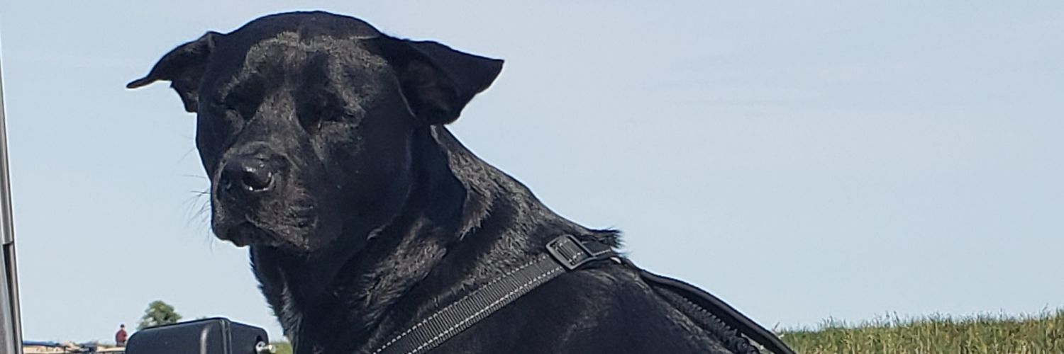 KaylaHugz's profile banner image