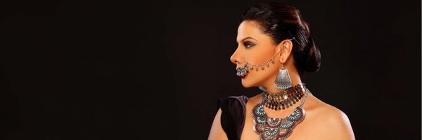 sambhavnaseth Profile Banner