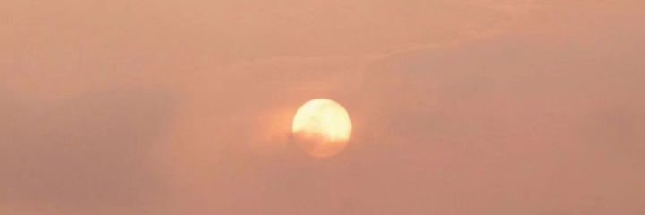 linguard1's profile banner image