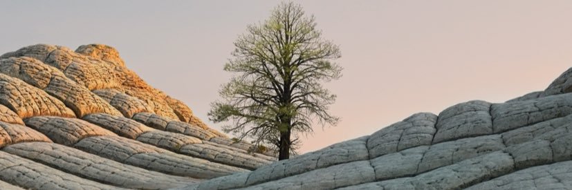 Topmen Đỗ banner