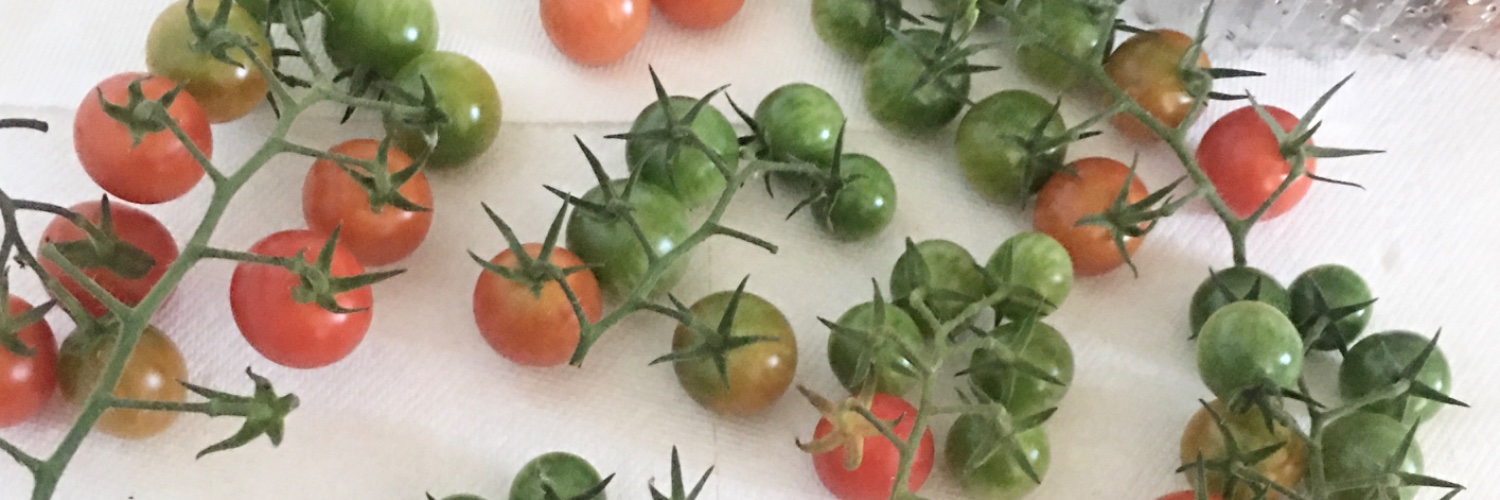 えつ🇨🇦 banner