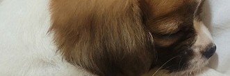 AthenaMarley's profile banner image