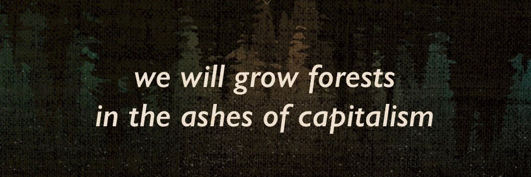 FREE PALESTINE 🇵🇸 banner