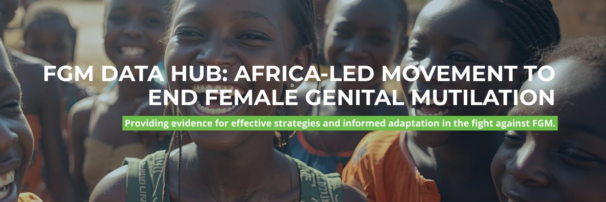 FGM_Data_Hub's profile banner image