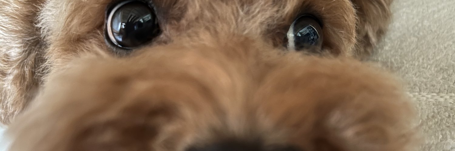 ryokanmanryou's profile banner image