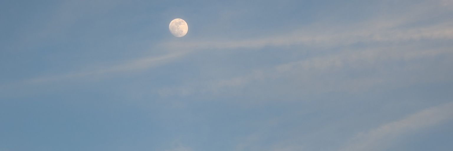 𝔻𝕚𝕖𝕘𝕠 X banner