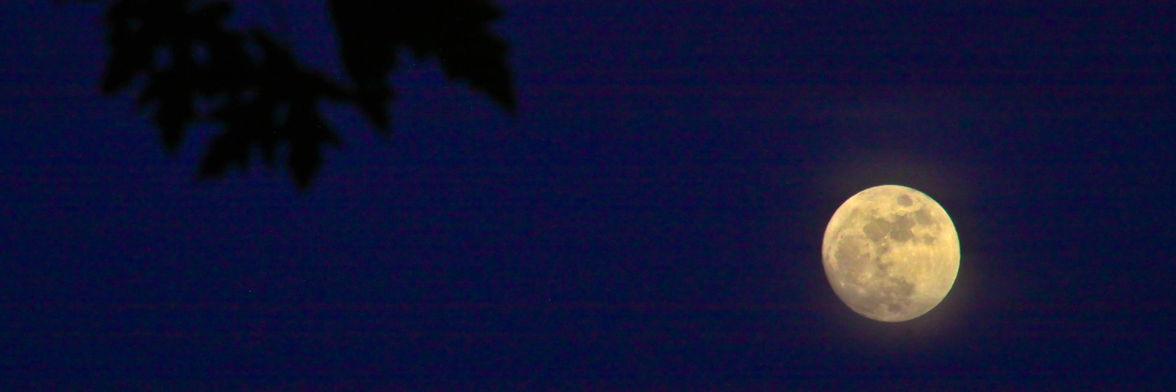 jonathanCainer's profile banner image