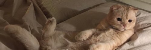 ewhappiness_'s profile banner image
