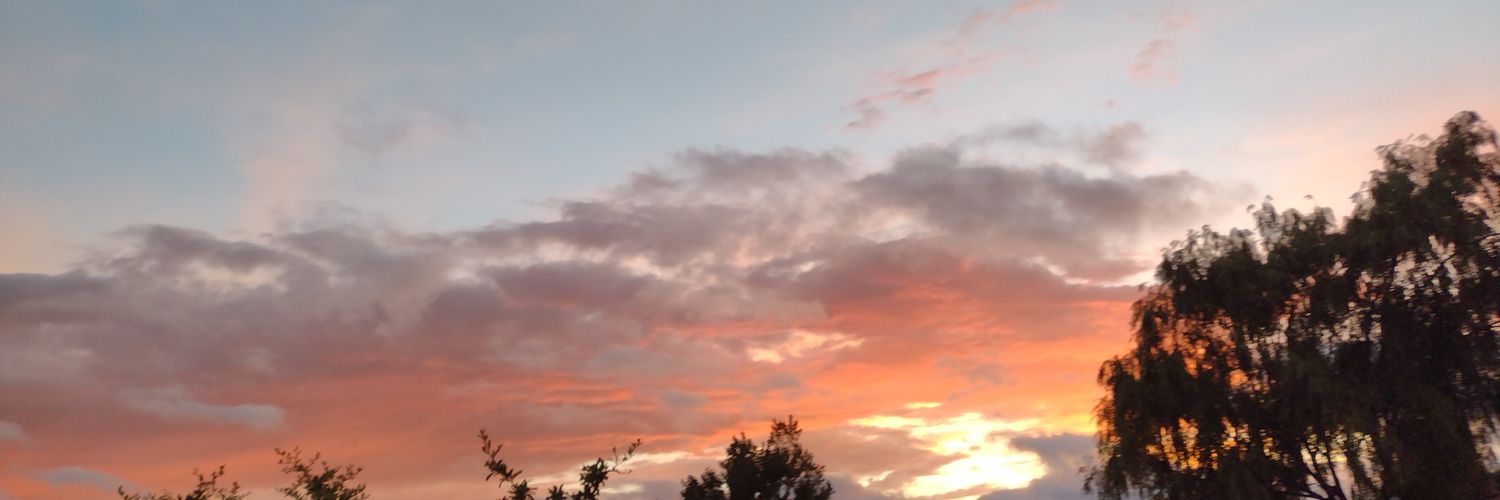 anagomezmes's profile banner image