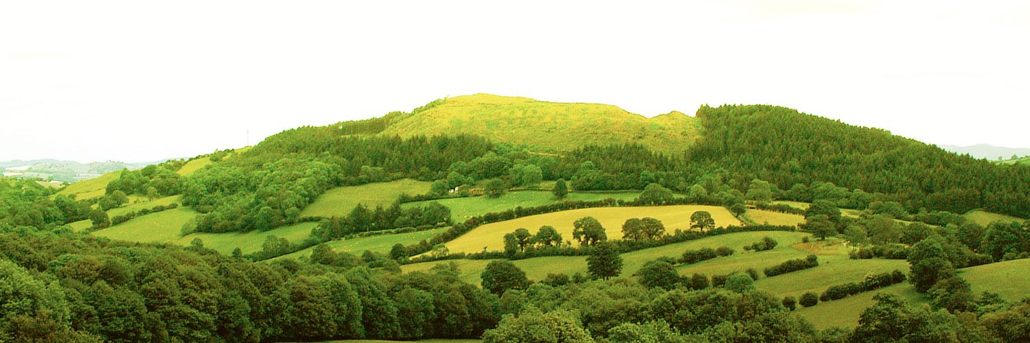 drumburst's profile banner image