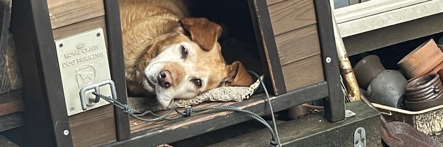 桜庭うた【ぜろから☆すた→と】 banner