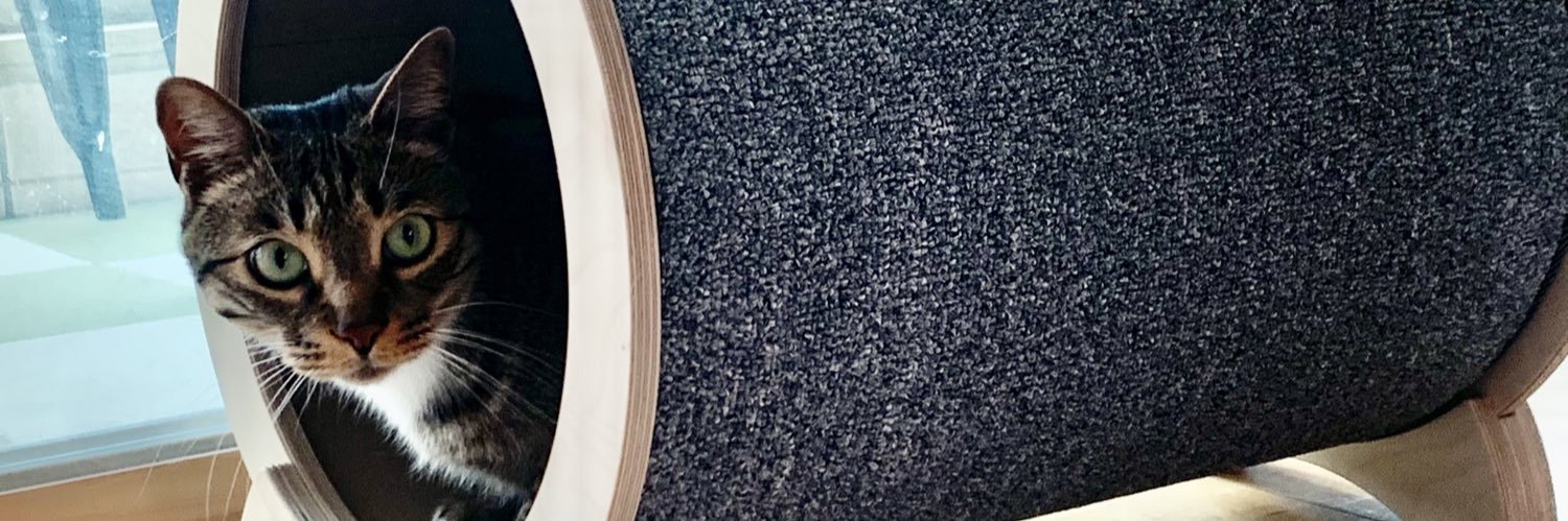 jh5546's profile banner image