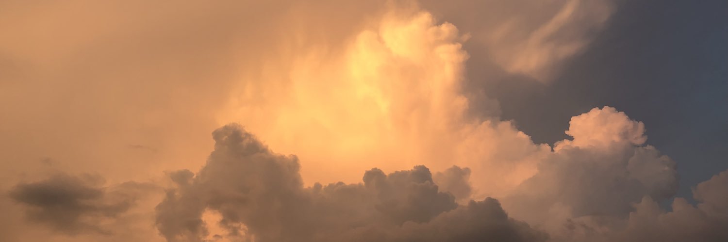 lisabiehler's profile banner image