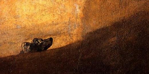 J.J. Domínguez banner