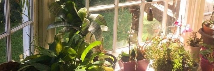 reneetatts's profile banner image