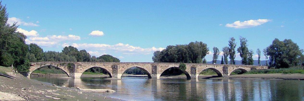 chira as データマネジメント専門家 banner