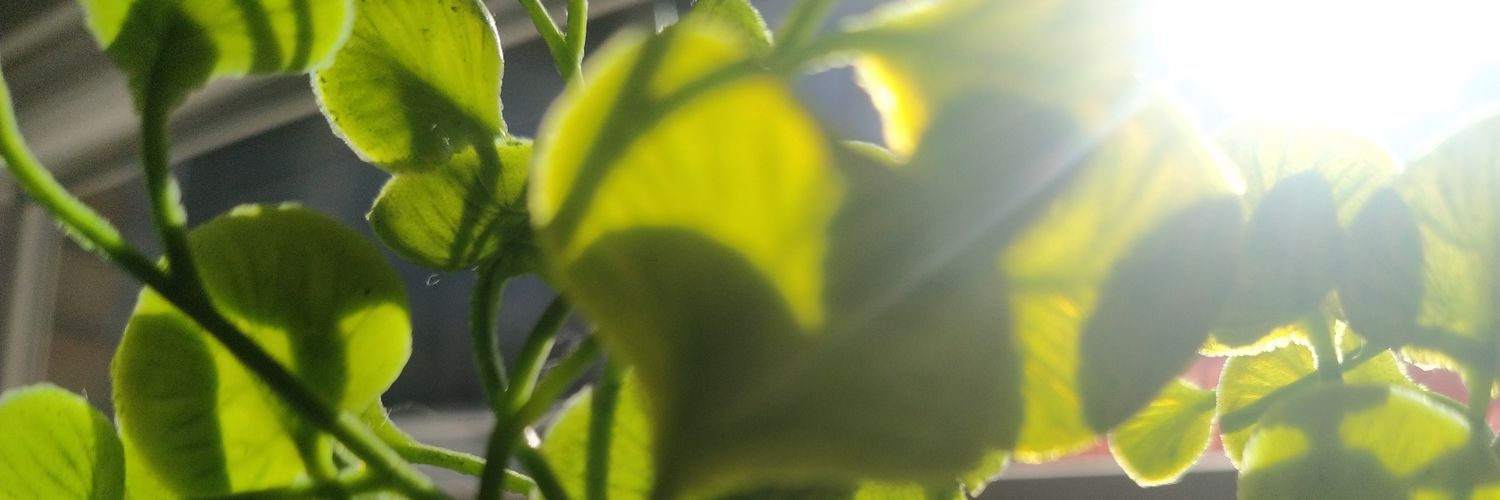 fryshemsuhor's profile banner image