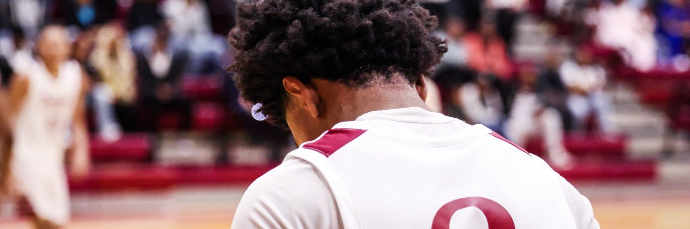 David Williams banner