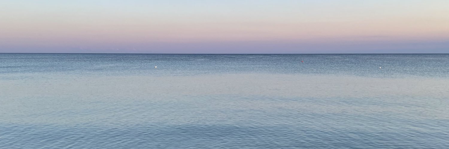 EleMaggiotto's profile banner image