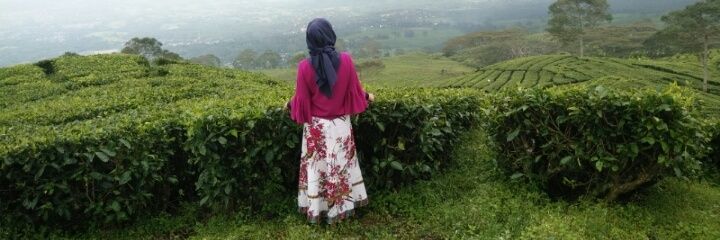 SusaannDS's profile banner image