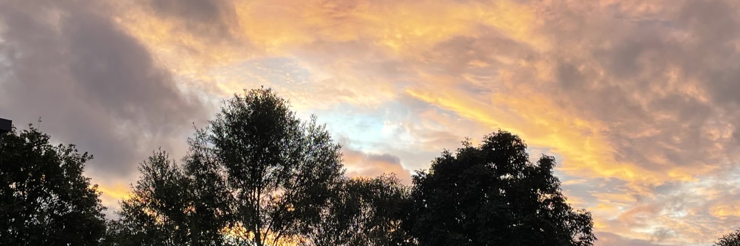 lanje160's profile banner image