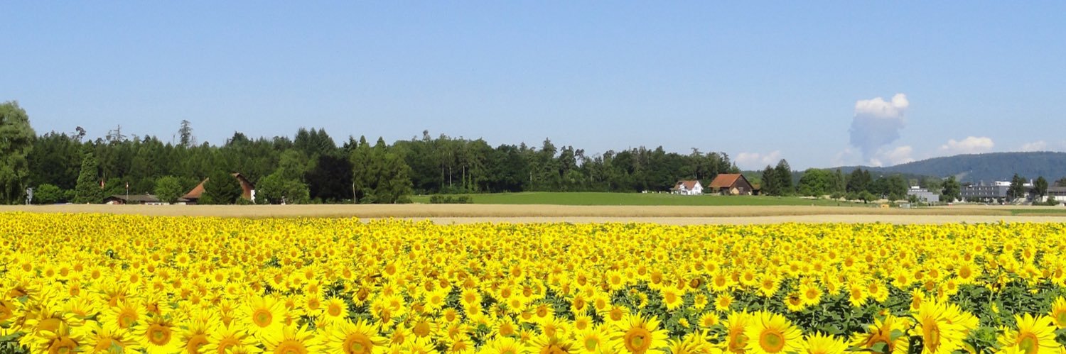 Open Data Kt. ZH banner