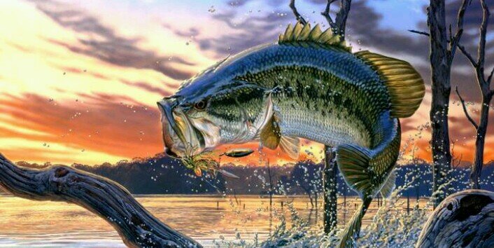 PC_Bassmasters's profile banner image