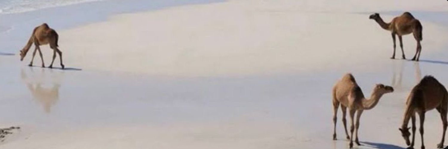 R banner