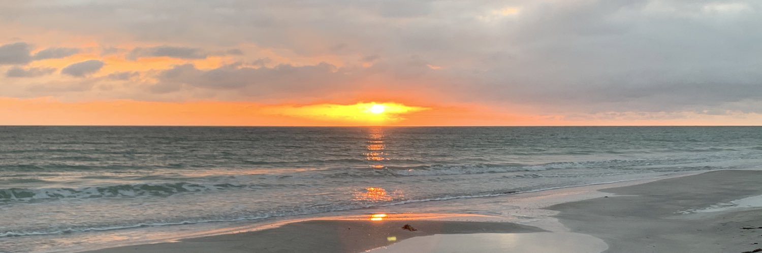 dheselsc's profile banner image
